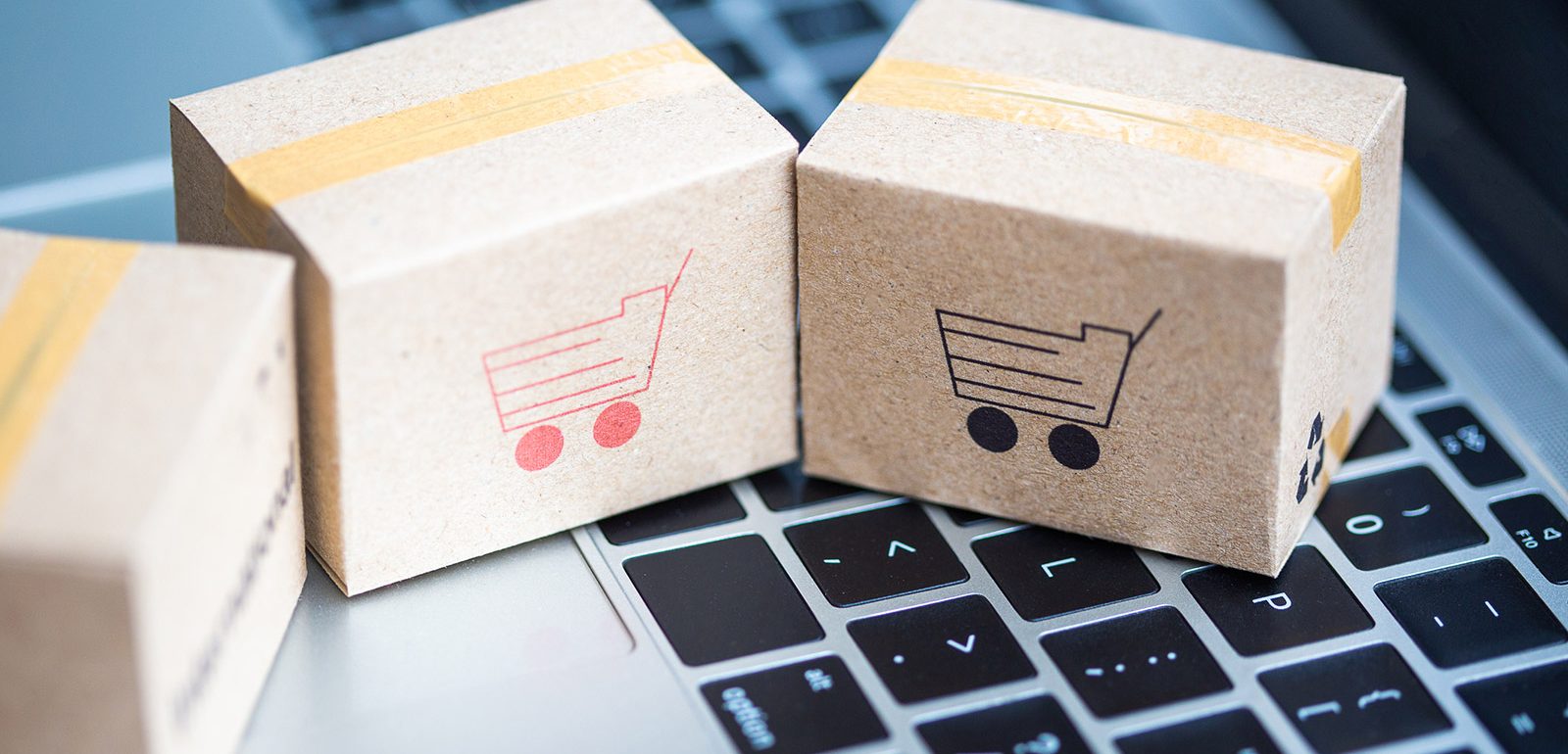 Händlerbestellsysteme - C.O.S. Software GmbH